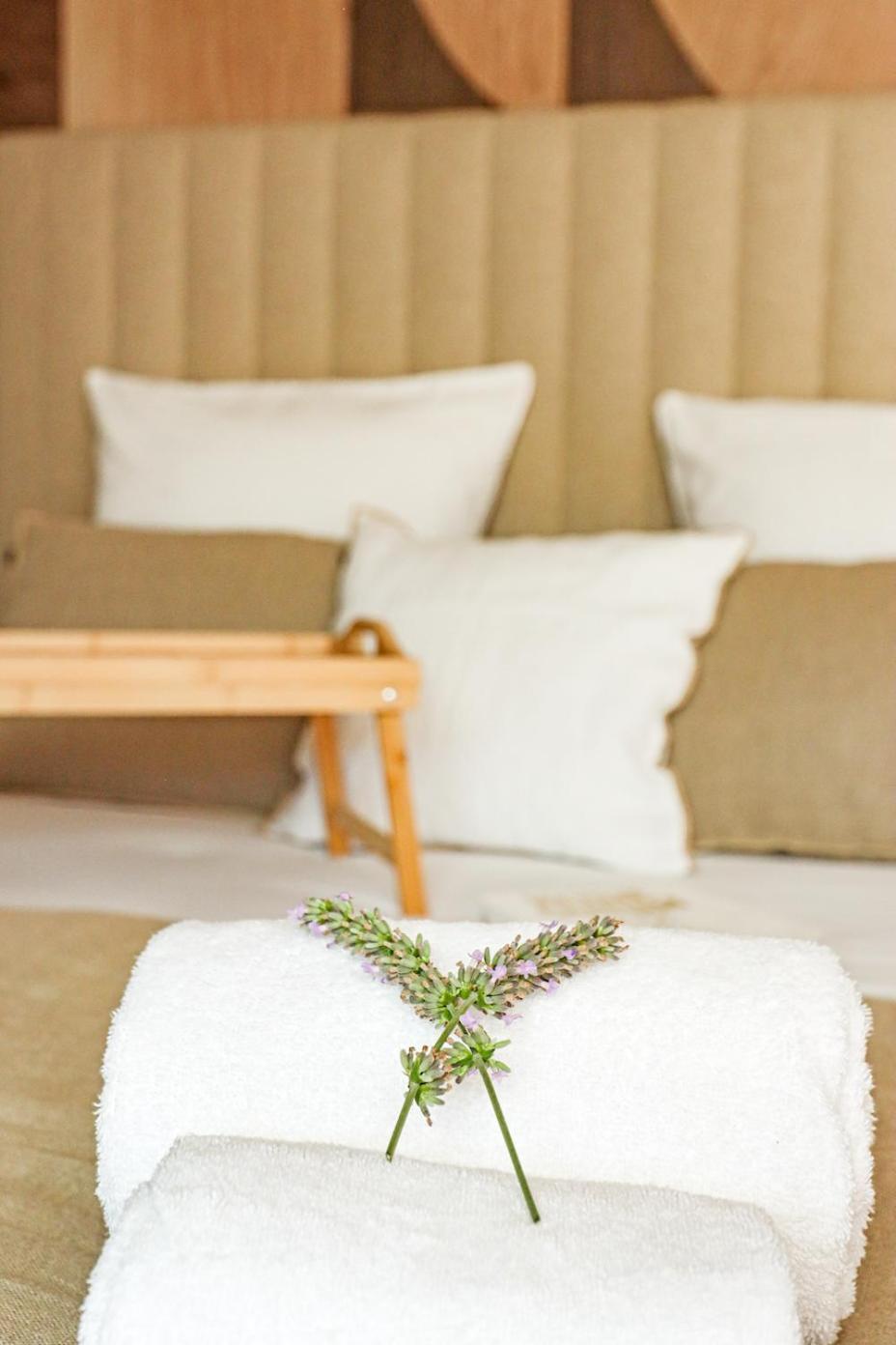 Les Gites De Laure - L'Eden Romantique, Chambres Hotes, Spa Prive, Couloir De Nage, Adults Only Malves-en-Minervois Luaran gambar